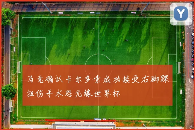 马竞确认卡尔多索成功接受右脚踝扭伤手术恐无缘世界杯